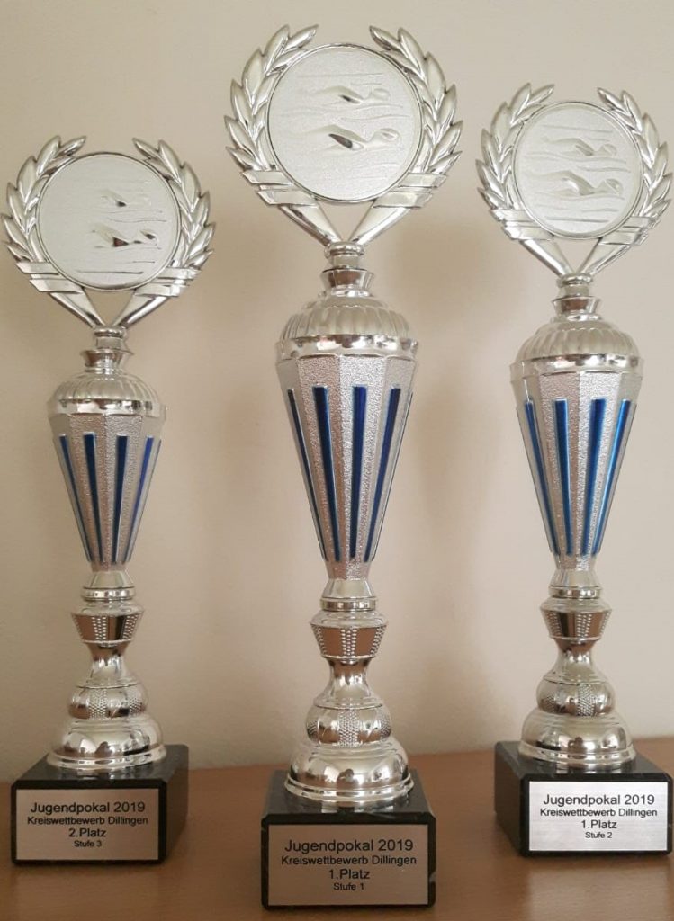 Pokal 2. Platz (Stufe 3)
Pokal 1. Platz (Stufe 1)
Pokal 1. Platz (Stufe 2)